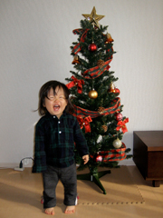 ���ꥹ�ޥ��ĥ꡼