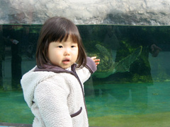 ���ߥ����