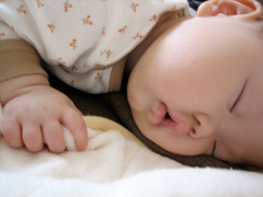 ���餬�����Ǥ�