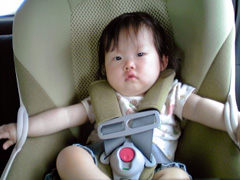 �����ο�