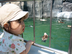 ưʪ����ǥӥ塼